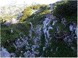 Hunting cottage Na Brežičih - Kocbekov dom na Korošici